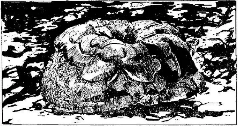 盤點(diǎn)各類地質(zhì)地貌類型-地?zé)豳Y源開發(fā)-地大熱能